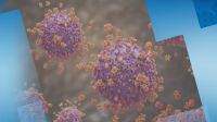 Австрия потвърди за двама заразени с коронавируса