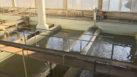 Обемът вода в "Студена" надхвърли 5 000 000 кубични метра