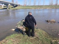 снимка 2 Започна зарибяването на река Марица край Пазарджик (СНИМКИ)