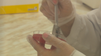 Българска компания разработва лечение срещу коронавирус