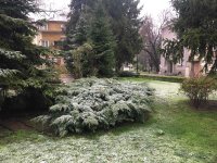 снимка 1 Мрачен и леко снежен Пловдив (СНИМКИ)