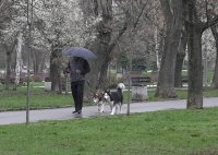 снимка 7 Полицейски ленти ограждат парковете в София