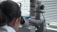 Учени от БАН подпомагат лабораторията по вирусология в „Пирогов“