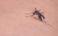 Ананиев подписа първия договор за дезинсекционни мероприятия и третиране срещу комари