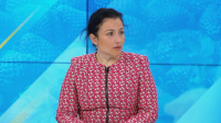 Десислава Танева: Реакцията на търговските вериги е в стил "предизборна кампания"