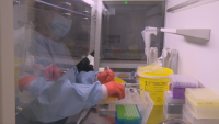 Учени от БАН готови да произвеждат тестове за доказване на вирусни инфекции