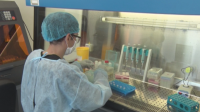 Още 9 положителни проби за коронавирус в шивашкия цех в Плевен