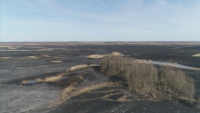 Пожари в национален парк в Полша