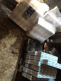 снимка 3 Близо 2 мастербокса цигари с различни марки откриха пловдивски полицаи