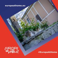 Пловдив се включва в международната инициатива „Европа вкъщи“