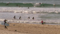 Отвориха плажовете за сърфистите в Сидни