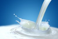 Първите изкупвачи на мляко кандидатстват вече и по електронен път