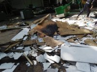 снимка 7 60 тона отпадъци събраха от ул. „Младежка“ в Пловдив