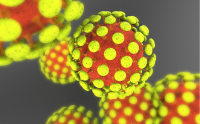 Броят на случаите с коронавирус в света надхвърли 4,8 милиона