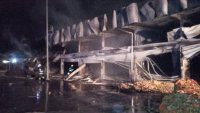 Двама души са леко обгорели при пожара на борсата край Петрич, няма опасност за живота им