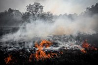 Пожарникари се борят с горски пожар на Атон