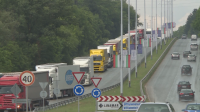 Шести ден километрични опашки от камиони на Дунав мост