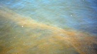 Разследват 9 години назад за престъпления за замърсяването на Варненското езеро