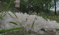  Градушка съсипа реколтата в три гоцеделчевски села