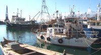 България е първата страна от ЕС, която получи одобрение за подкрепа в сектор "Морско дело и рибарство"