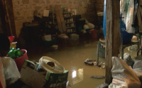 Отнесена улица и десетки наводнени сгради след порой в село Пчелище