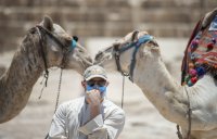 снимка 5 Египет отвори туристическите си обекти
