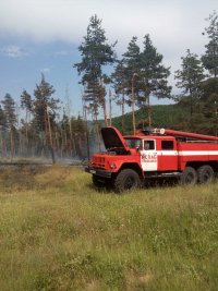 снимка 4 Пожарът в района над Брестовица изпепели 10 дка гора