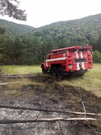 снимка 2 Пожарът в района над Брестовица изпепели 10 дка гора