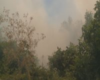 снимка 2 Два пожара горяха само за часове в Русенско