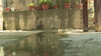 Семейство от Благоевград от години се бори с теч на мръсна вода в двора им