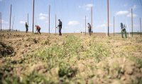 Зеленчукова ферма с български работници е новото огнище на коронавирус в Бавария