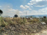 снимка 5 Пожар избухна в автоморга край Пловдив (Снимки)