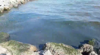 Тръба с отпадни води се излива в Равда