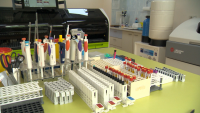 Дълги опашки пред лабораториите за PCR тестове в Бургас