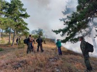 Три големи горски пожара бушуват из Хасковско