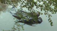 Кола падна в река Струма