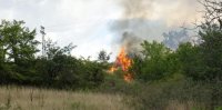 Пожарът край Лесово прехвърли Тунджа, огънят обхвана близо 10 000 декара площ