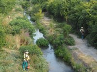Започна почистването на коритото на река Бели Лом в Разград
