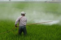 100 тона загробени пестициди открити при проверки, разпоредени от ВАП на МОСВ