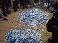48-и антиправителствен протест в София: Изсипаха кашони с риба пред МС