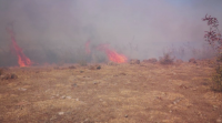 Подпалени сухи треви предизвикаха поредица от пожари Пловдивско