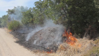 Пожар избухна в гора между Хасково и Димитровград