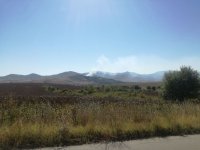 Силният вятър и горещото време разпалиха отново пожара край първомайското село Искра