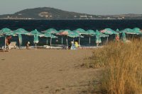 Министерството на туризма: Листа на морски треви са т.нар. замърсители на плажове по морето