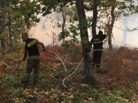 Голям пожар пламна край хисарското село Михилци