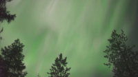Зелено-пурпурен спектакъл в небето над финландското градче Рованиеми