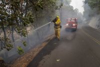 Над 1000 пожарникари се борят с пожарите в Калифорния