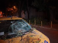 Огромен клон падна върху три автомобила в центъра на Варна