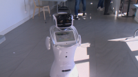 Заради липса на работна ръка фирми търсят помощта на роботи