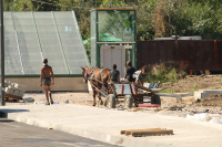 Съветът на Европа към България: Ромите да не се изселват принудително